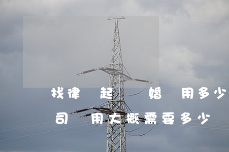 找律師起訴離婚費用多少錢(請律師打離婚官司費用大概需要多少)