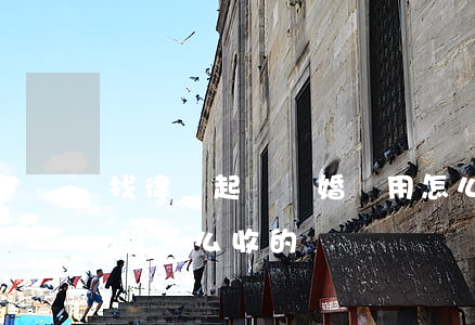 找律師起訴離婚費用怎么分(離婚律師費用一般怎么收的)