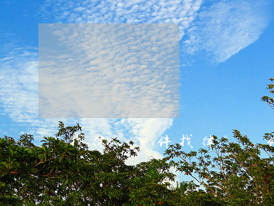 找律師軟件(找律師軟件叫啥名來著)