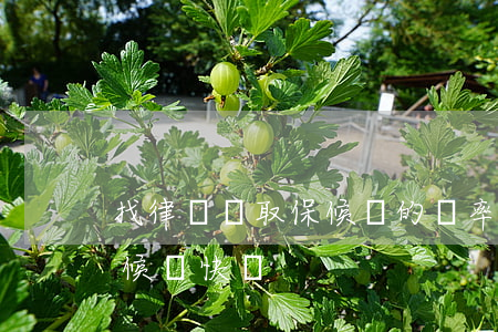 找律師辦取保候審的幾率大嗎(律師辦理取保候審快嗎)