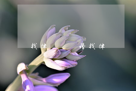 找律師辦離婚(找律師辦離婚案的流程要多久)