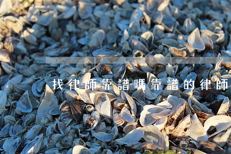 找律師靠譜嗎(靠譜的律師)