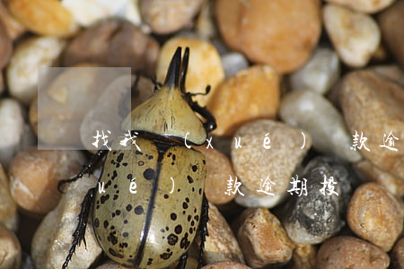 找我學(xué)貸款逾期投訴(找我學(xué)貸款逾期投訴)