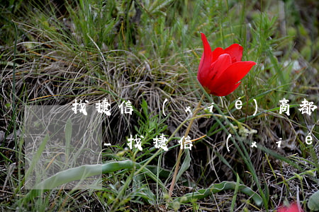 找捷信協(xié)商都必須是一次性還款嗎-找捷信協(xié)商都必須是一次性還款嗎是真的嗎