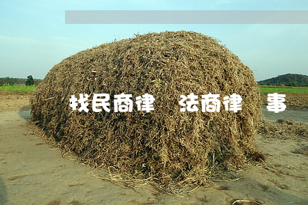 找民商律師(法商律師事務所)