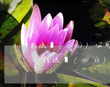找法務(wù)公司辦理停息掛賬問些什么-找法務(wù)公司辦理停息掛賬問些什么問題