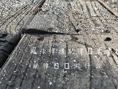 找法律援助律師需要提供什么(申請了法律援助,律師給做什么?)
