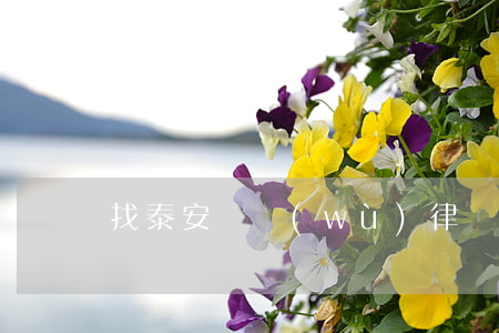 找泰安債務(wù)律師哪個(gè)好