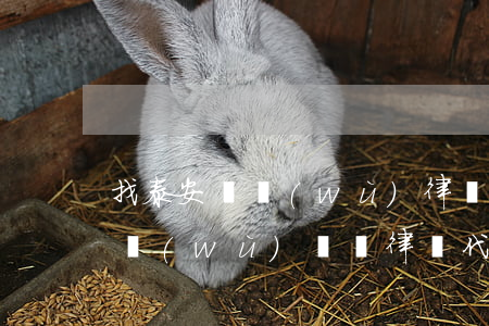 找泰安債務(wù)律師收費(fèi) 債務(wù)糾紛律師代理收費(fèi)標(biāo)準(zhǔn)