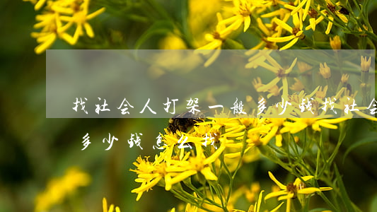 找社会人打架一般多少钱(找社会人打架一般多少钱怎么找)