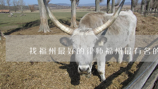 找福州最好的律师(福州最有名的律师是谁)
