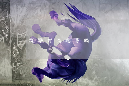 找郢村交通事故