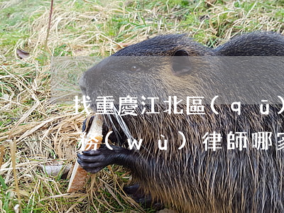 找重慶江北區(qū)債權(quán)債務(wù)律師哪家好-找重慶江北區(qū)債權(quán)債務(wù)律師哪家好一點(diǎn)