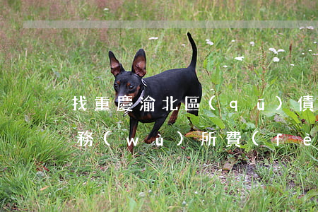找重慶渝北區(qū)債務(wù)律師事務(wù)所費(fèi)用-找重慶渝北區(qū)債務(wù)律師事務(wù)所費(fèi)用高嗎