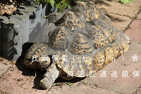 找銀保監(jiān)會(huì)協(xié)商還款（通過銀保監(jiān)會(huì)協(xié)商還款）