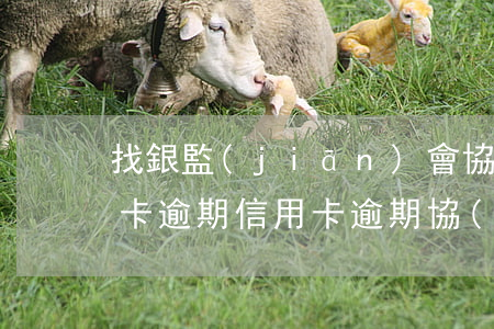 找銀監(jiān)會協(xié)商信用卡逾期(信用卡逾期協(xié)商機(jī)構(gòu))