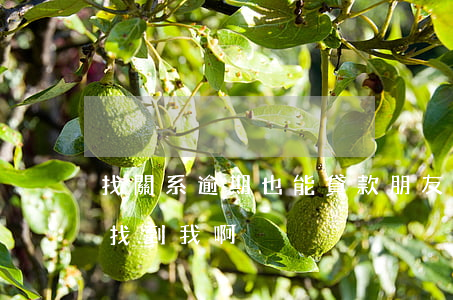 找關系逾期也能貸款(朋友貸款逾期為什么會找到我啊?)