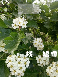 找離婚律師需要注意什么
