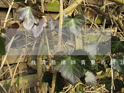找青島律師（青島市聘請債務(wù)律師）