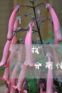 找靚機的分期付款是一個月一付嗎-找靚機分期付款是一個月一次嗎
