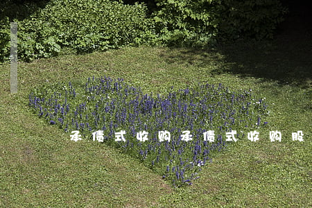 承债式收购(承债式收购股权风险)