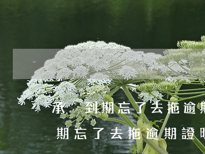 承兌到期忘了去拖逾期證明怎么寫-承兌到期忘了去拖逾期證明怎么寫啊