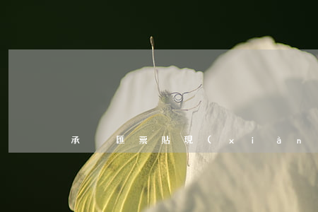 承兌匯票貼現(xiàn)計(jì)算器