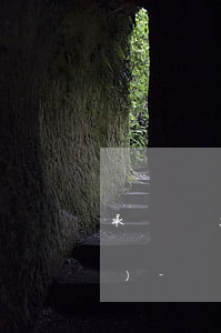 承兌匯票逾期提示付款的追索權(quán)-