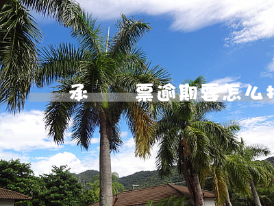 承兌匯票逾期要怎么托收(承兌匯票到期托收)