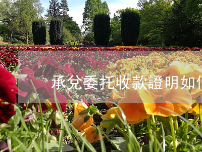 承兌委托收款證明如何書寫