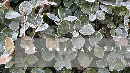 承包人接收到保函索賠通知怎么辦
