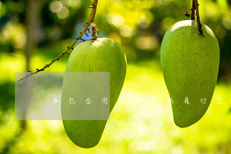 承包合同對方無法履行怎么處理