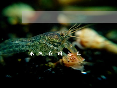 承包合同怎么寫