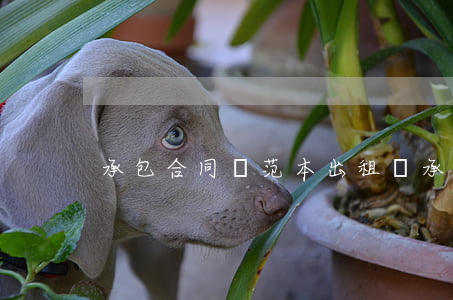 承包合同書范本(出租車承包合同書范本)