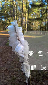 承包合同糾紛哪個(gè)部門(mén)解決