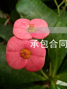 承包合同糾紛怎么解決