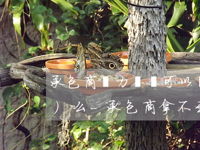 承包商無力償還可以賣東西變現(xiàn)么-承包商拿不到錢怎么辦