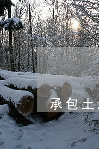 承包土地承包合同纠纷怎么处理