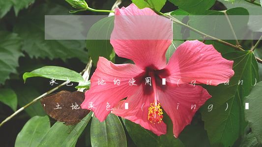 承包土地的使用權(quán)可以繼承嗎(土地承包經(jīng)營(yíng)權(quán)可以繼承取得嗎)