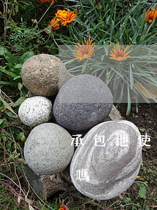 承包地使用權(quán)被侵占法院受理嗎
