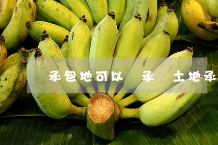 承包地可以繼承嗎(土地承包合同可以繼承嗎)