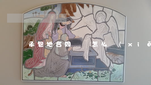 承包地合同糾紛怎么寫(xiě)