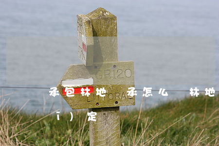 承包林地繼承怎么辦(林地繼承法律規(guī)定)