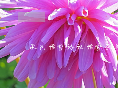 承包经营协议(经营承包合同协议书范本)