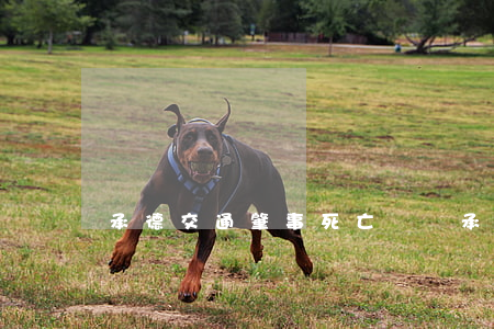 承德交通肇事死亡賠償(承德昨日重大車禍)