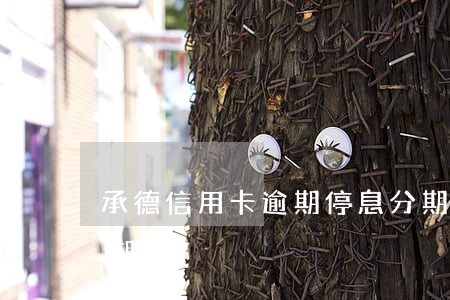 承德信用卡逾期停息分期怎么协商 信用卡分期