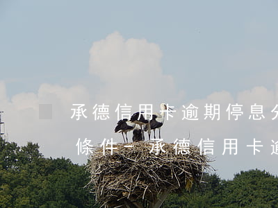 承德信用卡逾期停息分期申請(qǐng)條件-承德信用卡逾期停息分期申請(qǐng)條件是什么