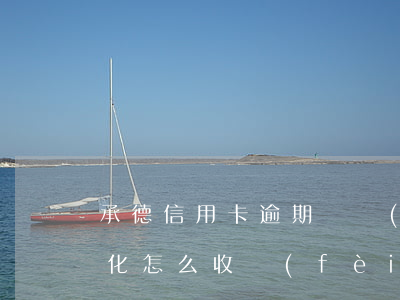 承德信用卡逾期債務(wù)優(yōu)化怎么收費(fèi)