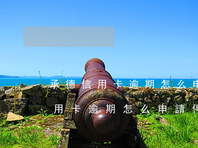 承德信用卡逾期怎么申請停息掛賬-承德信用卡逾期怎么申請停息掛賬的