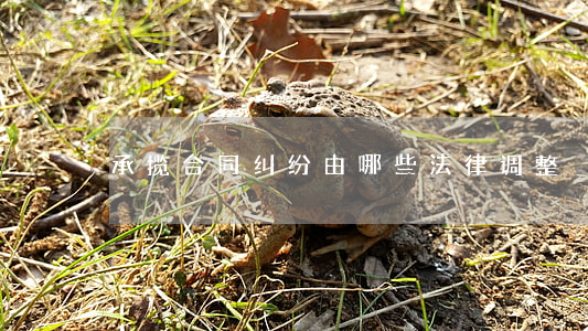 承揽合同纠纷由哪些法律调整